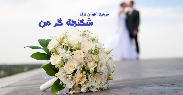 رمان شکنجه گر من