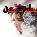 رمان حجله در خون