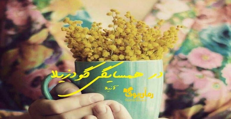 رمان در همسایگی گودزیلا
