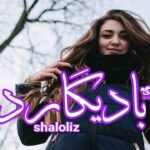 رمان بادیگارد