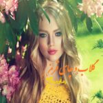 رمان گلاب و چای قرمز سما جم