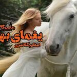 رمان یغمای بهار