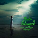 رمان شیدا