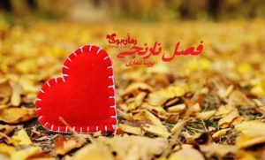 رمان فصل نارنجی