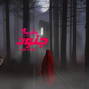 رمان جنون