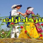 کتاب رمان دفتر خاطرات