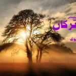 رمان سلاح ترکان فاطمه سلیمانی