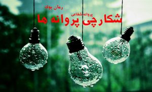 رمان شکارچی پروانه ها