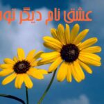 رمان عشق نام دیگر توست