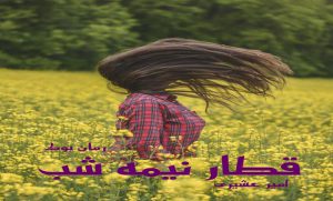 کتاب رمان قطار نیمه شب