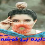رمان دایره بی گوشه