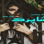 رمان شاپرک