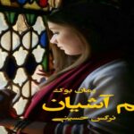 رمان هم آشیان نرگس حسینی