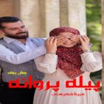 رمان پیله پروانه مبینا شفیعی