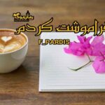 فراموشت کردم