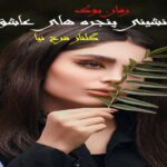 رمان شب نشینی پنجره های عاشق