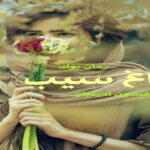 رمان باغ سیب افسون امینیان