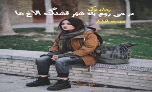 رمان در می روم به شهر قشنگ الاغ ها