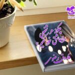 کتاب چگونه هر شخصی را عاشق خود کنیم فاروق رضوان