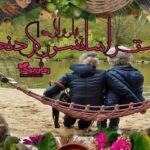 رمان عشق را سانسور کردند نیلوفر لاری