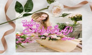 رمان از تجریش تا راه آهن