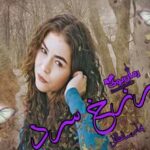 رمان برزخ سرد بهار سلطانی