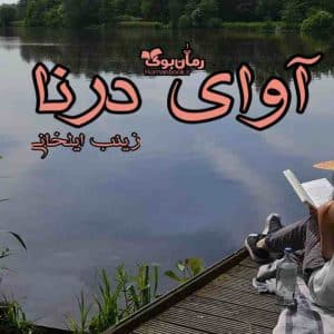رمان آوای درنا
