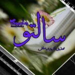 رمان سالتو