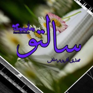رمان سالتو