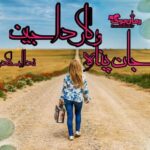رمان جان پناه و کارداجین