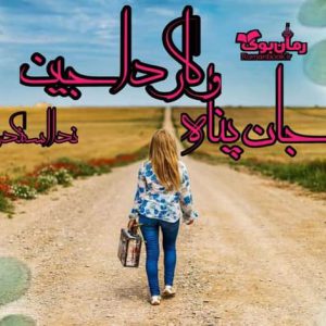 رمان جان پناه و کارداجین