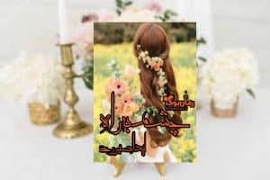 رمان چشم به راه 1