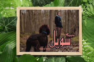 رمان سویل 1