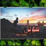 رمان سویل