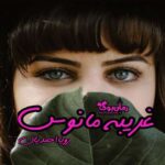 رمان غریبه مانوس