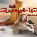 کتاب رمان تنها خواهم رفت