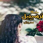 رمان مستر سیبیل