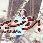رمان پای درخت سیب