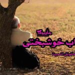 کتاب اسباب خوشبختی اثر اریک امانوئل اشمیت