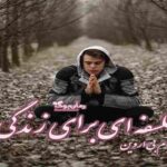 کتاب فلسفه ای برای زندگی