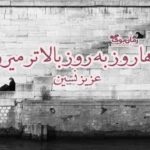 دانلود کتاب نرخ ها روز بِروز بالاتر میره اثر عزیز نسین