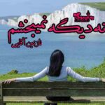 رمان نه دیگر نمی بخشم