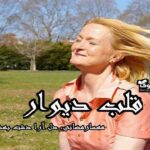 رمان قلب دیوار