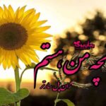 کتاب آنچه من هستم