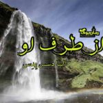 کتاب از طرف او