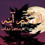 کتاب بانو در آیینه