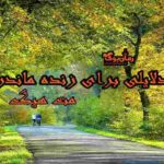 کتاب دلایلی برای زنده ماندن 