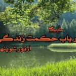 کتاب در باب حکمت زندگی