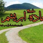 کتاب جاده ابریشم