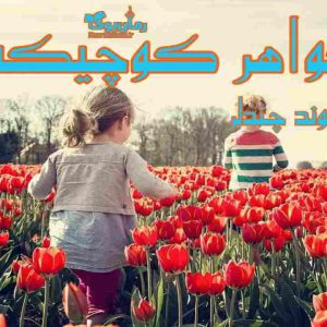 کتاب رمان خواهر کوچیکه